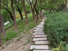 -元大都城垣遗址公园