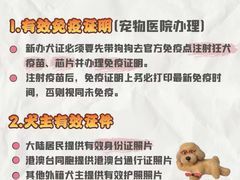 -瑞派申生动物医院·24H夜诊·国际动物医疗中心·骨外科(吴中路店)