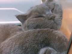 -乐宠宠物店(世纪金源店)