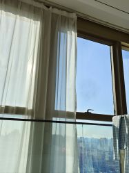 -爱陪伴一对一月子中心(融侨店)