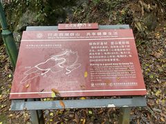 -九曜山