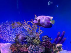 -上海海昌海洋公园