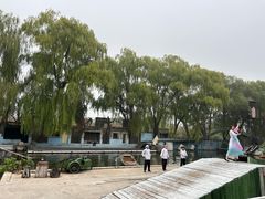 -白洋淀景区