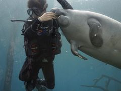 -广东省拱北口岸中国旅行社(华宾营业部)