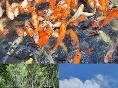 -昆明青龙峡风景区