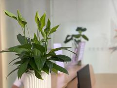 -MUE·沐懿(新浙北悠漫街店)