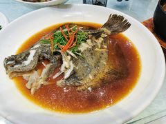 清蒸多宝鱼-金米箩大酒店(五角场店)