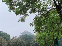 -顺峰山公园