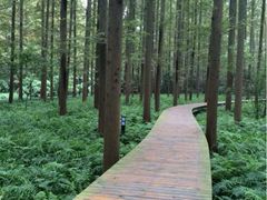 iphone_upload_pic-上海怡沁园度假酒店