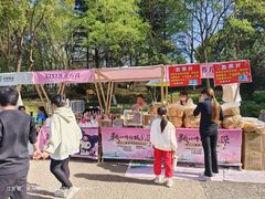 -圩墩遗址公园
