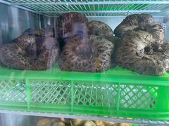 -山菌美食苑(振兴路店)