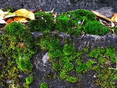 -西南交通大学(峨眉校区)