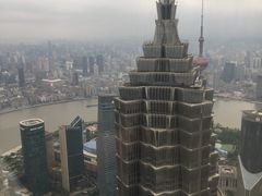 -The lounge 柏悦酒店大堂酒廊(上海环球金融中心店)