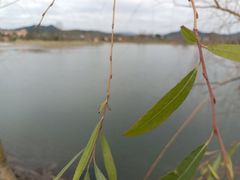 -道林古镇