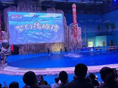 -华夏文旅海洋公园