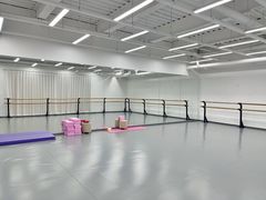 -中央芭蕾舞团·中芭艺蕾(酒仙桥明星校区)