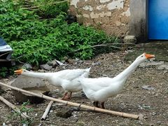 -会稽山峡洞漂流-上青古道