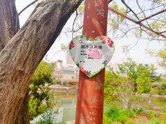 -嘉定紫藤园