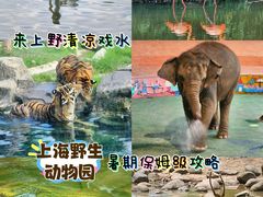 -上海野生动物园