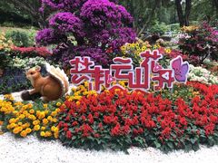 -广州市白云山风景名胜区