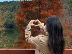 -广州市石门国家森林公园