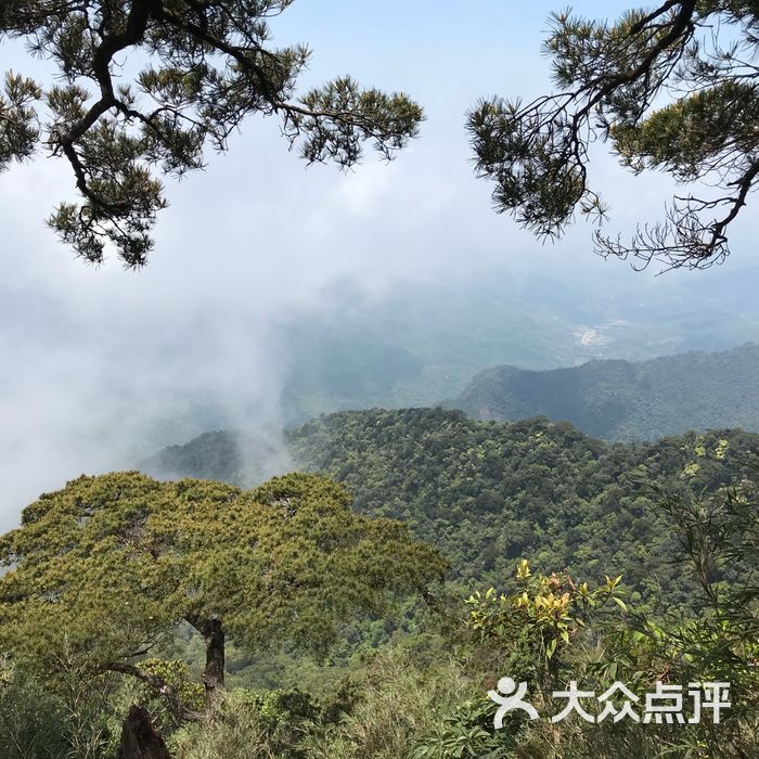 五指山国家自然保护区图片-北京自然风光-大众点评网