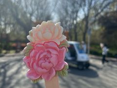 -洛阳市隋唐城遗址植物园