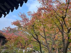 -秋霞圃