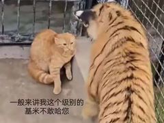 -咬不得高祖生煎·简餐(金逸影城店)