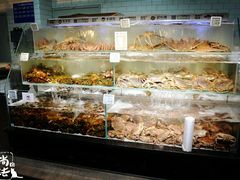 -超级物种(省府店)