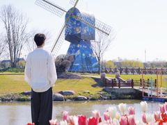 -荷兰花海