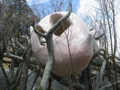 -疯狂屋