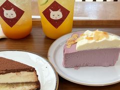 -有猫主题·治愈系猫咖(曾厝垵店)