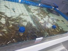 -大锅强·蒸海鲜青岛菜(吾悦广场店)