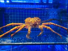 -永信海鲜(群星城店)