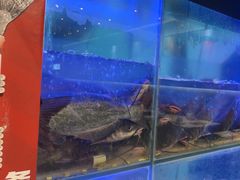 -鱼酷活鱼烤鱼(南京水游城店)