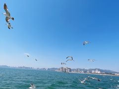 -刘公岛景区