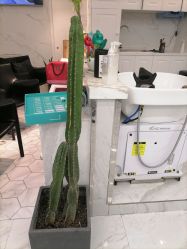 -潘多拉Hairsalon