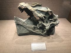 -自贡恐龙博物馆