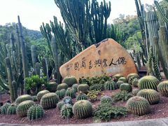 -深圳仙湖植物园