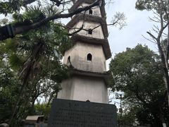 -江心屿景区