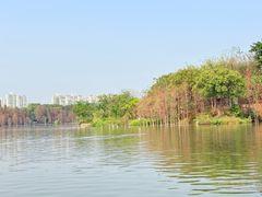 -海珠湖公园