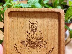 -Cappucimeow猫咪咖啡馆(韦伯时代店)