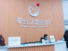-联合动物医院(光谷诊疗中心)
