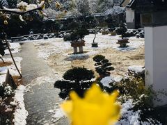 -水绘园
