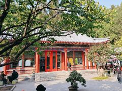 -宫事颐庭·老佛爷贵寿下午茶(颐和园店)