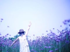 -杭州湾海上花田景区
