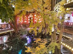 -钦善斋(武侯祠店)