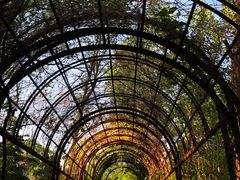 -国家植物园南园