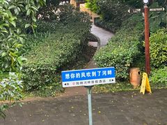 -广悦华阳朔河畔度假酒店(十里画廊遇龙河店)